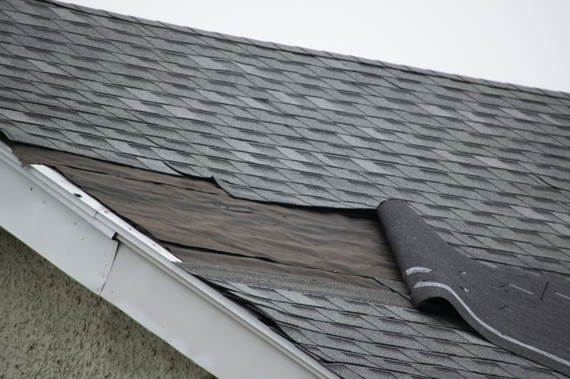 Roofing Repair Success